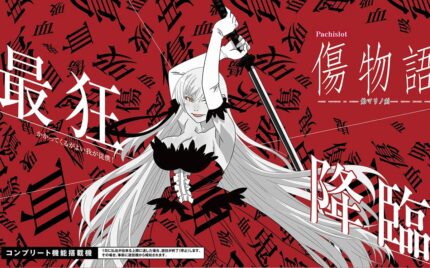 アホでも分かる！傷物語のハイエナ手順【完全版】